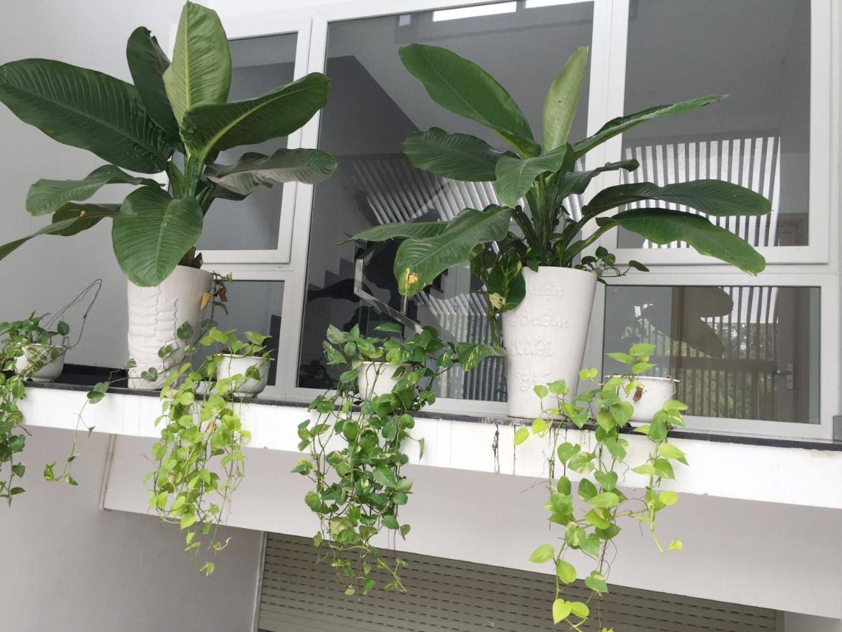 M-H Serviced Apartment Ho Chi Minh-staden Exteriör bild